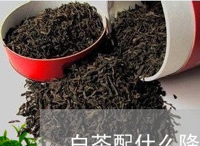 白茶配什么降压茶好喝一点/2023041683126