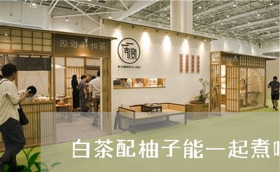 白茶配柚子能一起煮吗百度/2023041631675