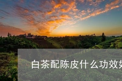 白茶配陈皮什么功效好一点/2023041607469