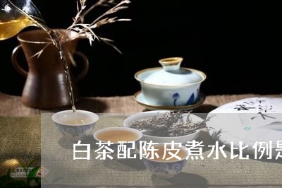 白茶配陈皮煮水比例是多少/2023041214707