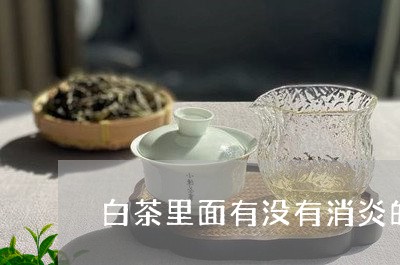 白茶里面有没有消炎的功能/2023041549492