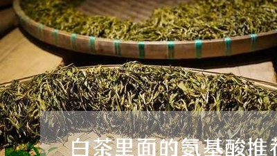 白茶里面的氨基酸推荐/2023041264036