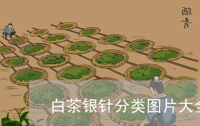 白茶银针分类图片大全大图/2023041281749