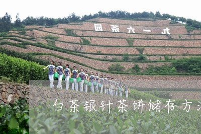 白茶银针茶饼储存方法视频/2023041221694