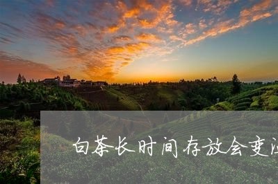 白茶长时间存放会变温性吗/2023041272037