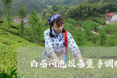 白茶闷泡投茶量多调理好吗/2023041261715