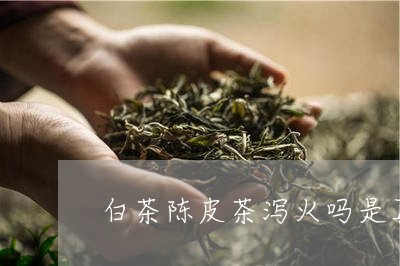 白茶陈皮茶泻火吗是真的吗/2023041617368