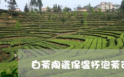 白茶陶瓷保温杯泡茶可以吗/2023041654838