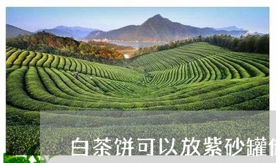 白茶饼可以放紫砂罐储存吗/2023041657471