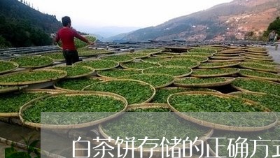 白茶饼存储的正确方式图片/2023041619615