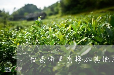 白茶饼里有掺加其他东西吗/2023041664916