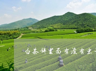 白茶饼里面有没有虫子图片/2023041605970