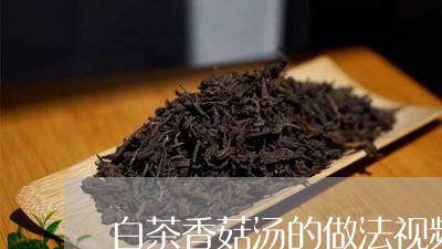 白茶香菇汤的做法视频大全/2023041520362