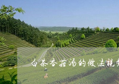 白茶香菇汤的做法视频教程/2023041227360