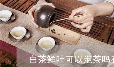 白茶鲜叶可以泡茶吗有毒吗/2023041266052