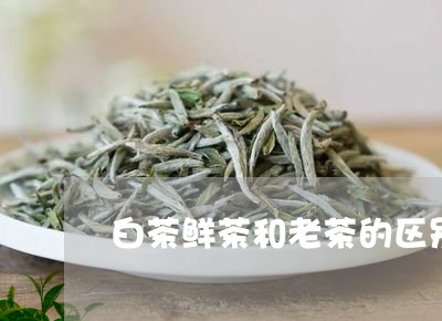 白茶鲜茶和老茶的区别在哪/2023041275269