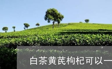 白茶黄芪枸杞可以一起泡吗/2023041237272