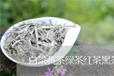 白茶黄茶绿茶红茶黑茶黑茶/2023041260836