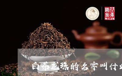 白茶龙珠的名字叫什么好听/2023041680924