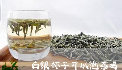 白银杯子可以泡茶吗/2023032069482