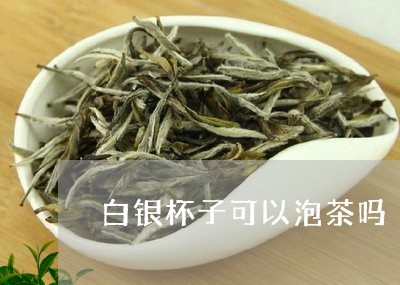 白银杯子可以泡茶吗/2023041616857