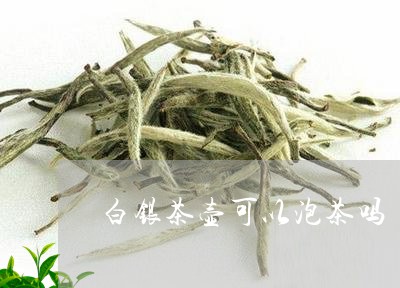 白银茶壶可以泡茶吗/2023041683827