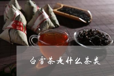 白雪茶是什么茶类/2023032480604