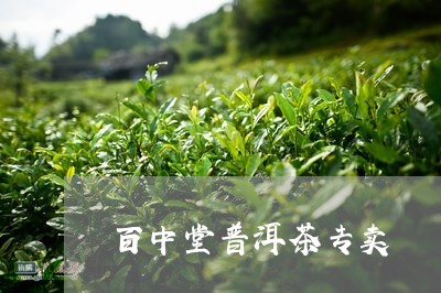 百中堂普洱茶专卖/2023033101948