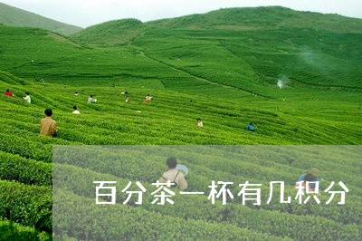 百分茶一杯有几积分/2023041517250