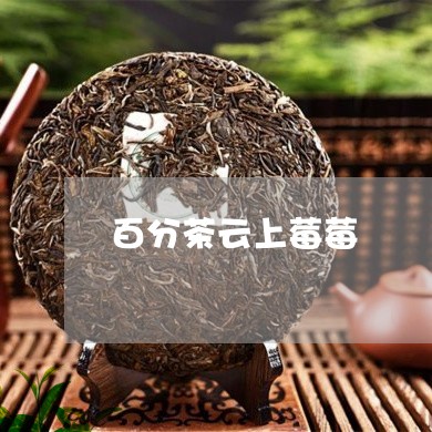 百分茶云上莓莓嫲嫲/2023031995371