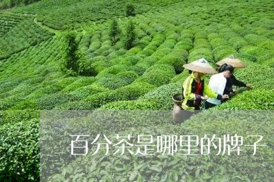 百分茶是哪里的牌子/2023031993058