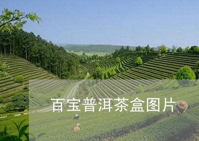 百宝普洱茶盒图片/2023033156582