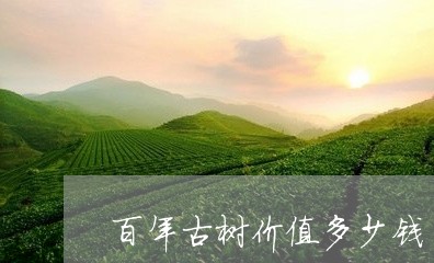 百年古树价值多少钱/2023032118303