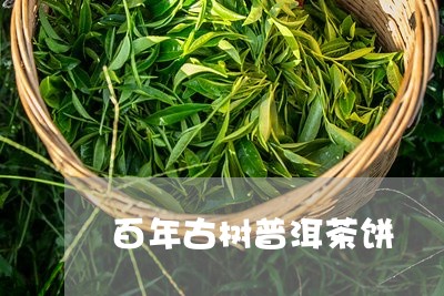 百年古树普洱茶饼/2023041316050