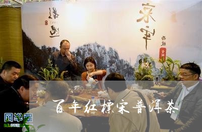 百年红标宋普洱茶/2023033095260