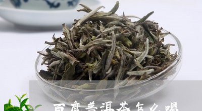 百度普洱茶怎么喝/2023033078692