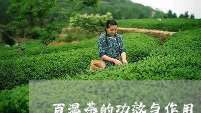 百湿茶的功效与作用/2023032118471