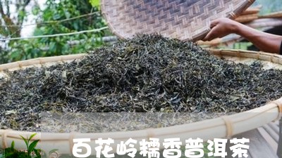 百花岭糯香普洱茶/2023033011834