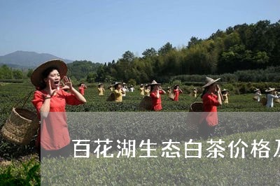 百花湖生态白茶价格及图片/2023041222504