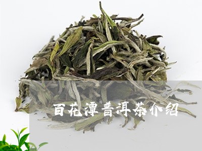 百花潭普洱茶介绍/2023033048504