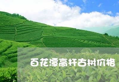 百花潭高杆古树价格/2023041743948