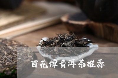 百花谭普洱茶推荐/2023033041725