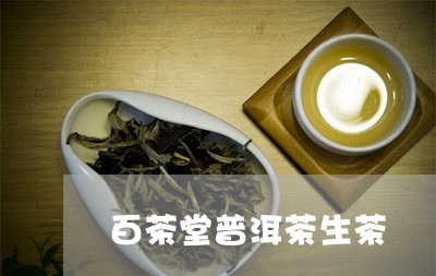 百茶堂普洱茶生茶/2023041198473