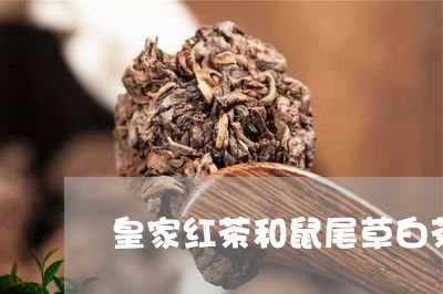 皇家红茶和鼠尾草白茶b组/2023041698268