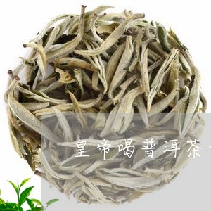 皇帝喝普洱茶古茶/2023041137360