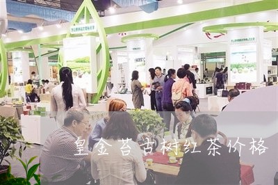 皇金苔古树红茶价格/2023041794937