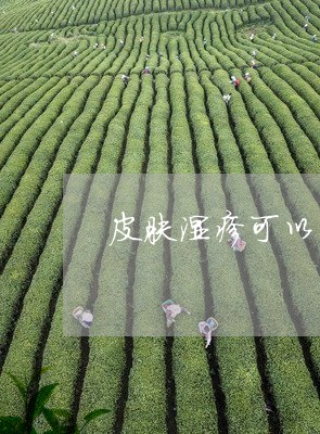 皮肤湿疹可以喝茶吗/2023041674162