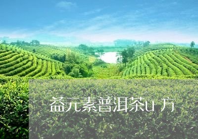 益元素普洱茶u方/2023041282815