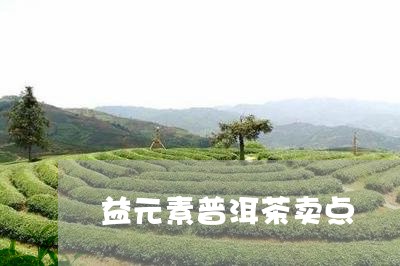 益元素普洱茶卖点/2023041031514