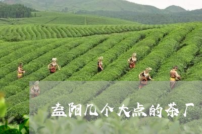 益阳几个大点的茶厂/2023032002624